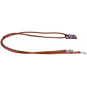 Hundesnor i bldt lder, lysebrun