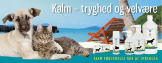 Kosttilskud til hunde og katte, som giver naturlig tryghed - rigtig godt til pensionen i ferien