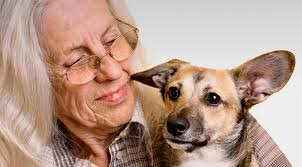 Hundetrning for pensionister hold 1