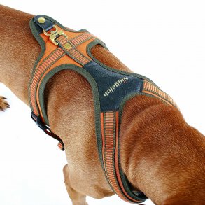 Niggeloh classic sele